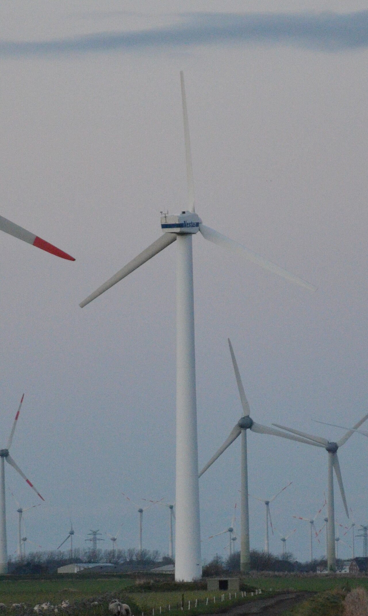 Vestas V27