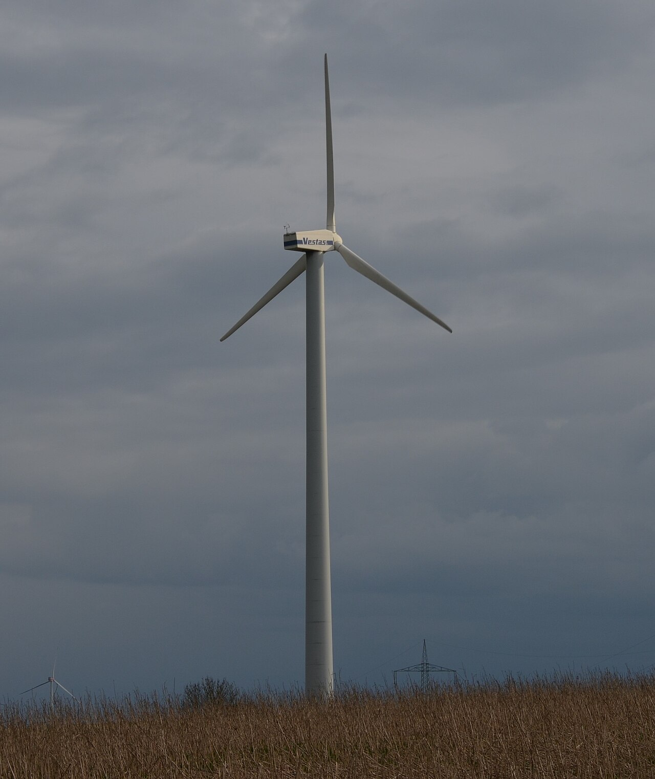 Vestas V44